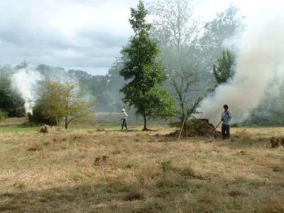Volunteers mowing, raking and burning grass